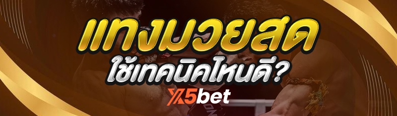 แทงมวยสด