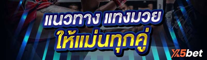 แทงมวย