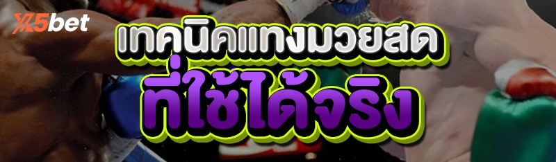 เทคนิคแทงมวยสด
